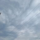 만타스시31 밀양점