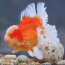 이용걸농장 이미지