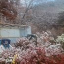 참목원정육식당