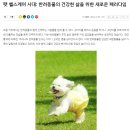 위메이크스튜디오 이미지