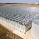 티에스팜 이미지