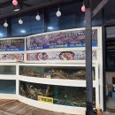 신마창수산