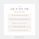원톤스킨 이미지