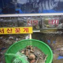 가락시장 [형제수산] 맛도리후기!