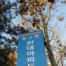 강남-096 Daum카페