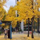 몽촌토성역 2번출구 이미지