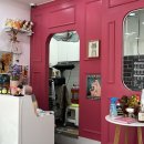 언니네 애견샵 이미지