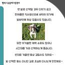 Helix ADI Center : 헬릭스 영상진단센터 이미지