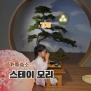 죽림세탁 | 오션뷰 국내 료칸 숙소 감성 히노끼탕 자쿠지 스테이 모리 거제 풀빌라 펜션