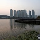 수원-1026 이미지