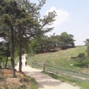 칠곡양떼목장 이미지