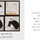 DOG사랑 이미지