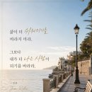 녹명 Daum카페