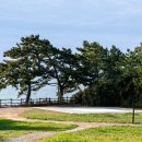 양수주유소 이미지