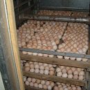 양지농원 이미지