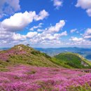 황매산 이미지