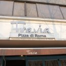 PIZZA DI ROMA 이미지
