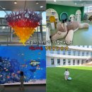 168계단 더데크 복합문화공간 | 세종시 아기랑 가볼 만한 곳, 이도마루 복합문화공간 방문 후기