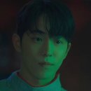 강아지의 하루 이미지