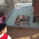 단감테마공원 이미지