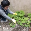 만복경로당 이미지