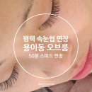 주정차-50 | 평택 속눈썹 연장 오브룸 50분 걸린 거 실화?