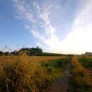 아침들녘 이미지