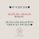 4월의피아노음악교습소 이미지
