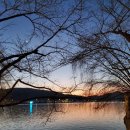 우두머리 이미지