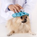 좌동메디칼센터 이미지