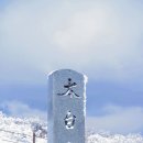 ◈ 제 197차 정기산행 - 강원 태백산(26년 12월 12일, 토요일) 산행 안내 ◈ 이미지