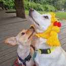 영포농장 이미지