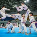 태백태권도 이미지