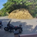 요카카오토캠핑장 이미지