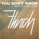 Flinch Feat. Ellie Goulding (플린치 &amp; 엘리고울딩) You Don't Know 이미지