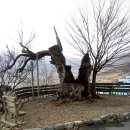 하양경로당 이미지