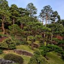 용인자연휴양림 이미지