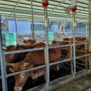 우들농장 이미지