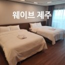 블루하와이호텔 | '웨이브 제주' 슈페리어 스위트 오션 숙박후기 (구, 블루하와이)