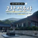 선운사 - 1268 | 고창여행 | 선운사 방문 후기, 걷기만 해도 힐링됐던 고창 여행 필수 코스