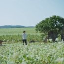 고창풍천장어마을 이미지