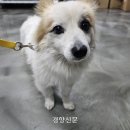 로