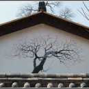 매화나무집 이미지