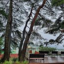 명문요양병원 이미지