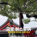 라꾸라꾸투어