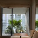 로아스시 이미지