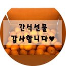 바른정치과 네이버블로그
