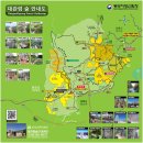 (주)대관령전망대