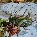 백정형외과의원 | 어깨 아파서 징징대다가 결국 간 수원 정형외과 후기
