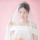 망고스튜디오